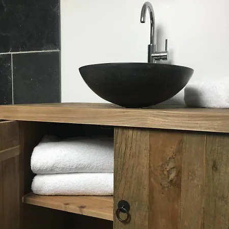 酒店 Hotel-spa Domaine De Diane 3*