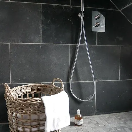 Hotel-spa Domaine De Diane 3* 康村