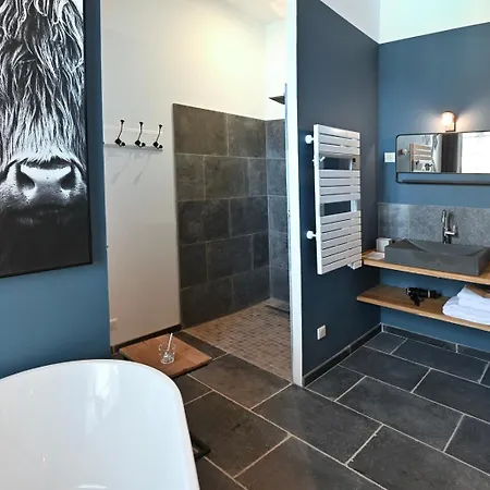 Hotel-spa Domaine De Diane 康村