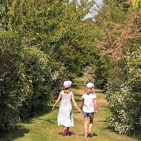 Ξενοδοχείο Hotel-spa Domaine De Diane 3*