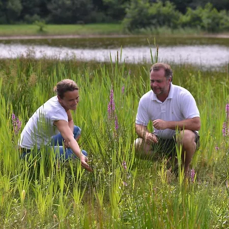Hotel-spa Domaine De Diane Otel Quend