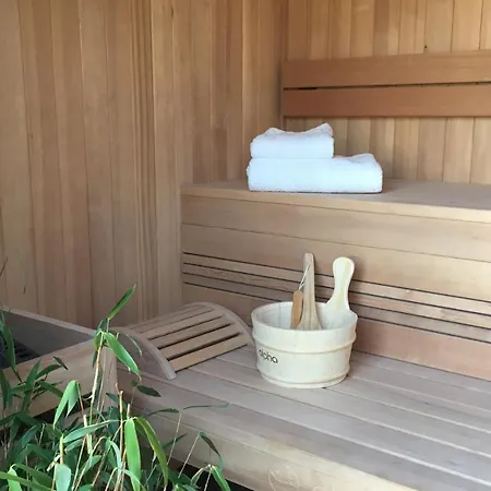 Hotel-spa Domaine De Diane 3* 康村
